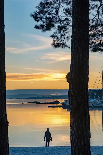 Relax on Oslo’s beach at Bygdøy Peninsula